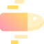 bullet